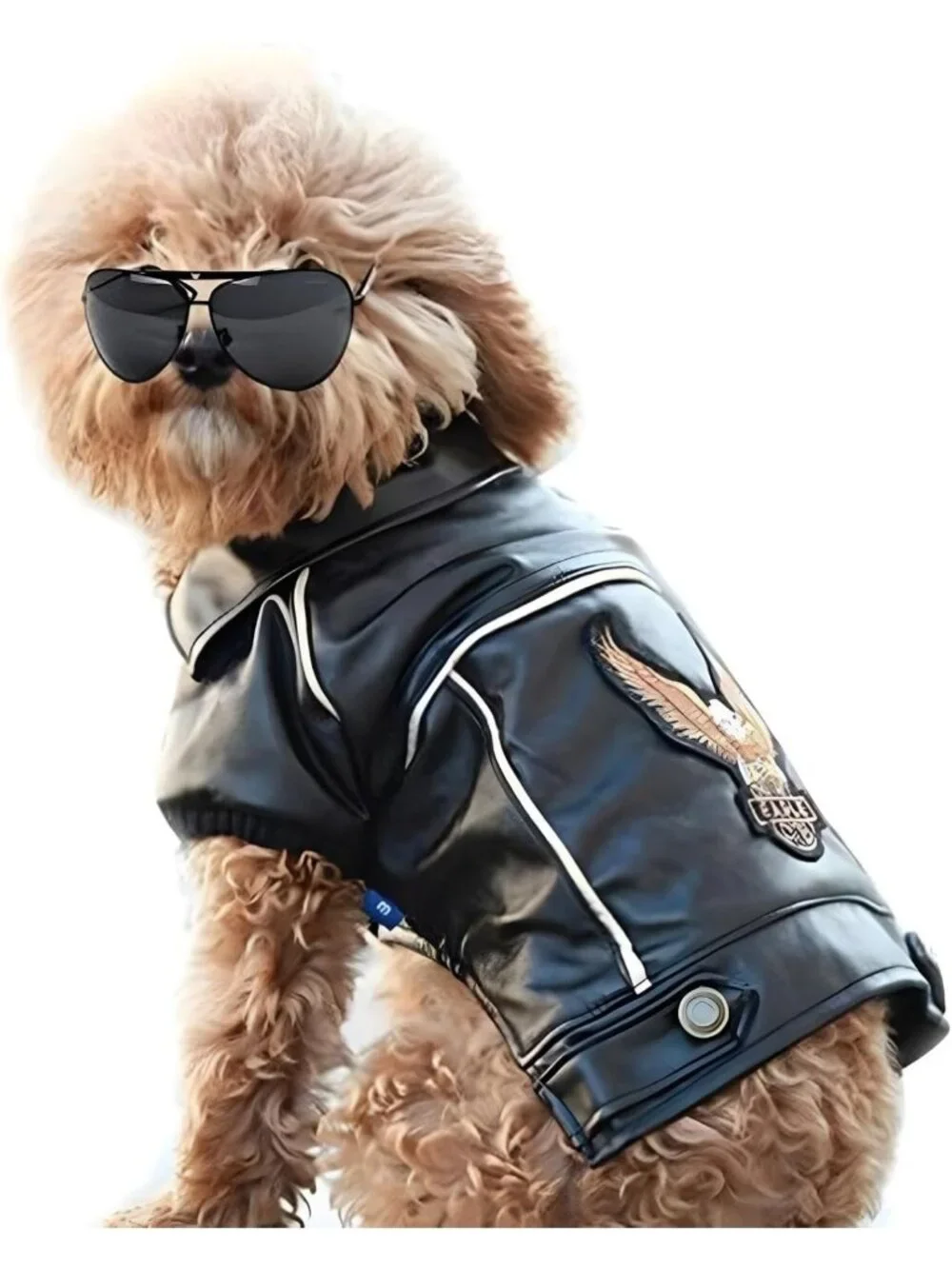 Stylish Waterproof Leather Dog Jacket - Cute Motorcycle Coat for Small & Medium